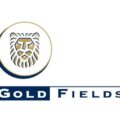 Gold Field