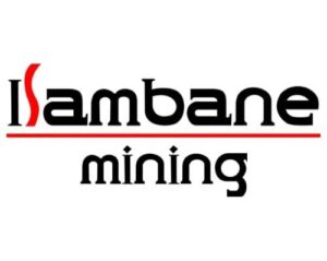 Read more about the article Safety Officer Job Opportunity at Isambane Mining