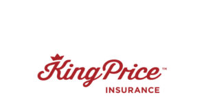 Read more about the article King Price: Insurance Agent Learnership 2026 | Apply Today